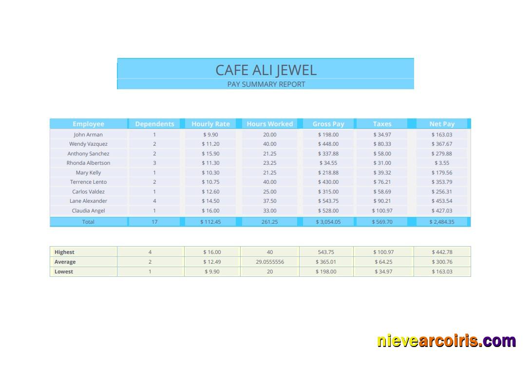 Pay summary report pay stub